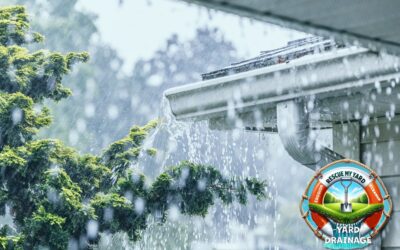 Roof Drainage Basics and Why Your Home Needs It